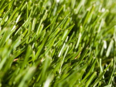 The Right Shoes for Gardening