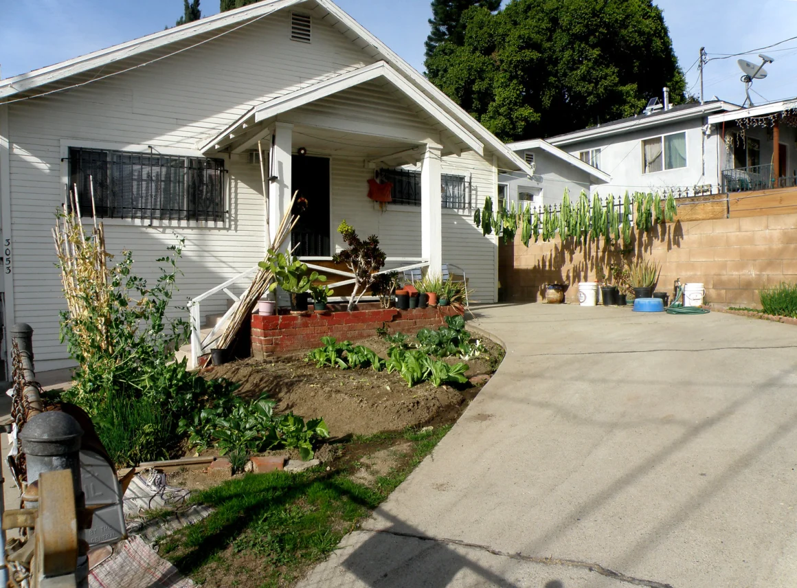 Homesteads in an Urban Environment
