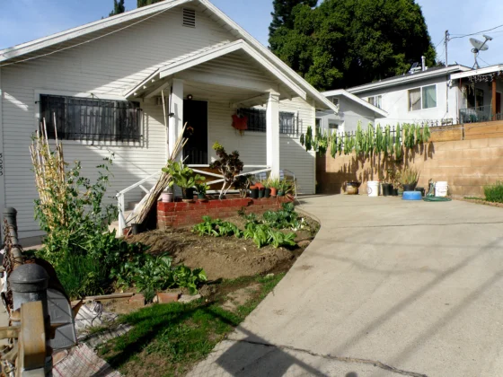 Homesteads in an Urban Environment