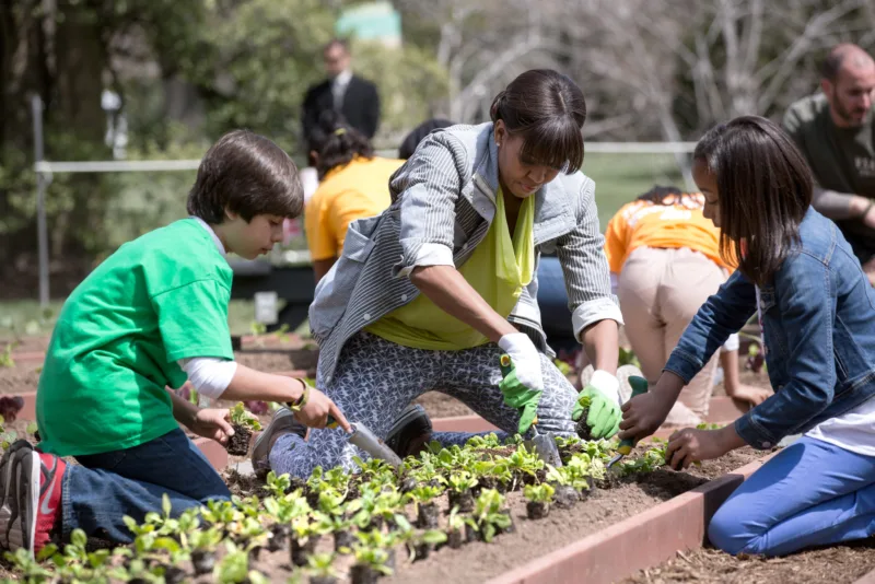 Spring Planting