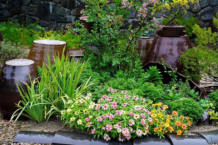 featured image - Competition In The Garden Exploring The Relationships Between Plants