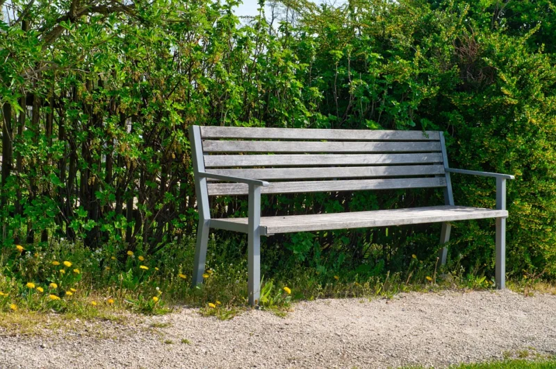 image - The combination of a fence and burlap screening shields the fruit trees behind