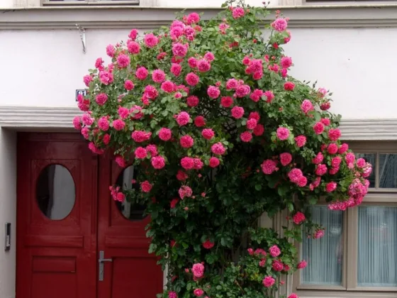 feature image - Don't fear the dark side of your house!