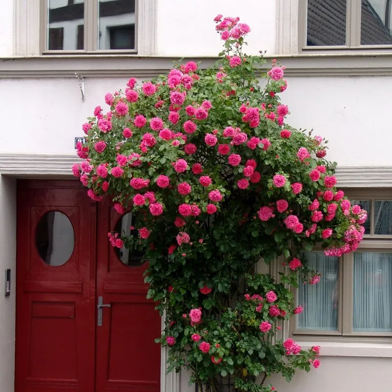 feature image - Don't fear the dark side of your house!