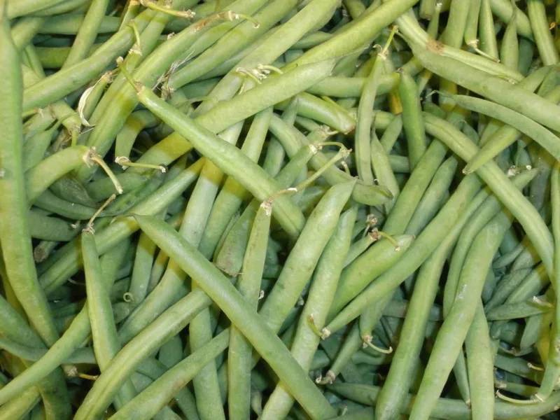 image - Snap beans