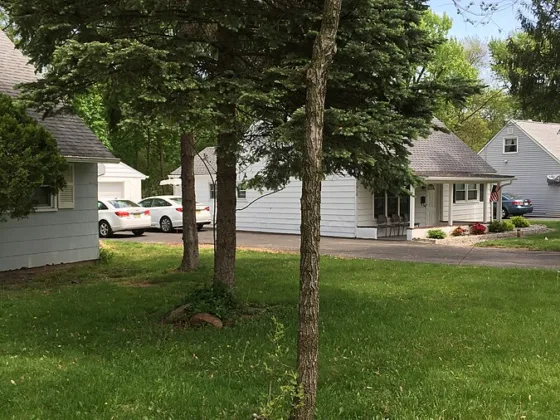 featured image - Planting Revenge On Your Neighbors