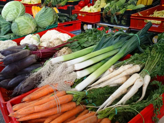 featured image - Vegetables - The Fresher, The Better