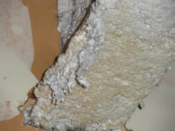 The Truth about Asbestos Exposure and Mesothelioma in Home Improvement Projects