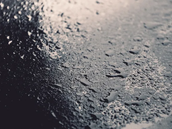 Master the Art of Waterproofing Your Basement Like a Pro