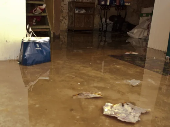 Preventing Basement Flooding, A Guide to Keeping Your Space Dry and Safe