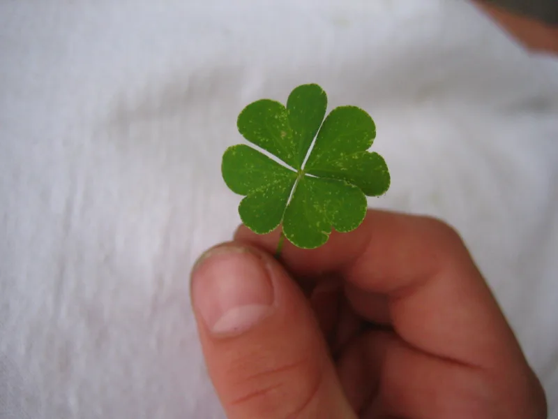 Four-Leaf Clover