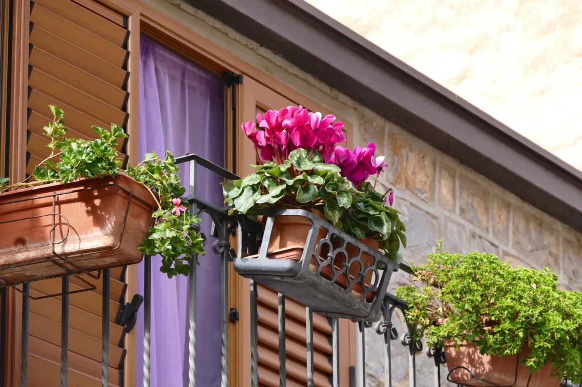 Creating and Maintaining a Balcony Garden Box