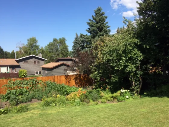 featured image - Affordable and Creative Landscaping Ideas for Your Backyard