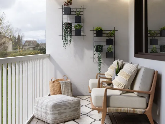 16 Beautiful Plants for Balcony Gardens