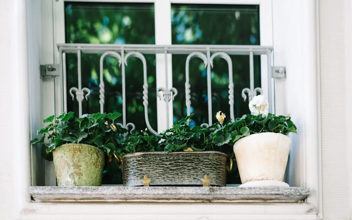 Choosing the Right Container for Your Plants