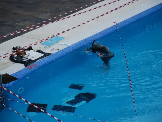 The Best Way to Remove Stains from a Pool