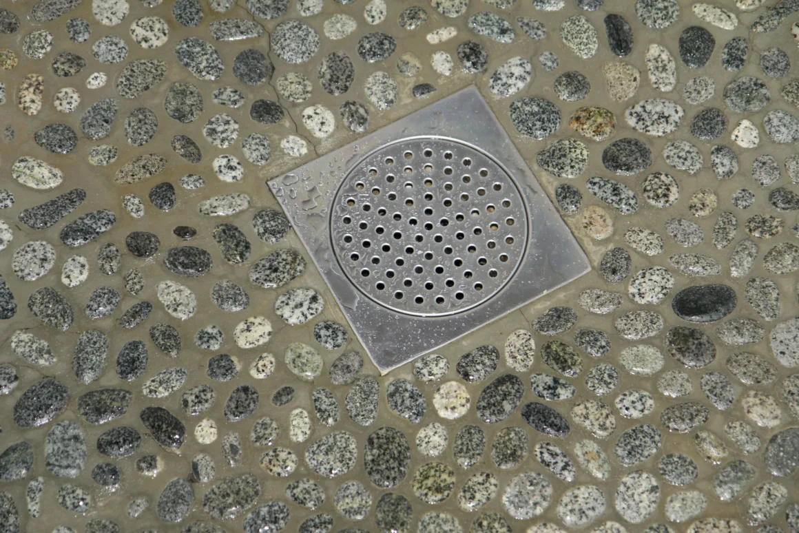 featured image - The Ultimate Guide to Cleaning Your Shower Drain