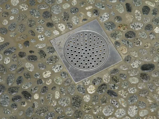 featured image - The Ultimate Guide to Cleaning Your Shower Drain