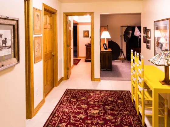 featured image - Installing Transition Strips for Your Carpet: A Seamless Solution
