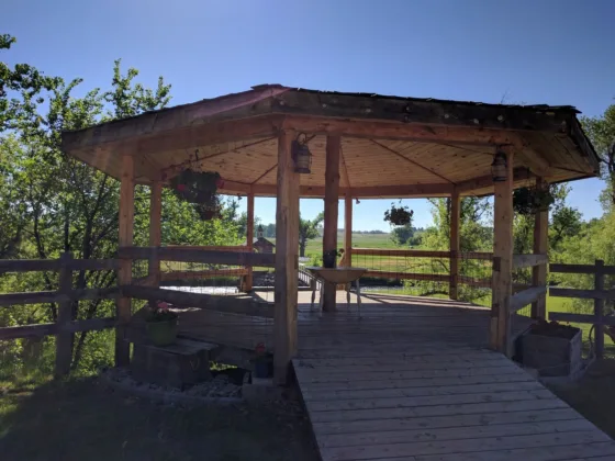 featured image - Pergolas Take Centre Stage: the Dominant Trend in Outdoor Living for 2024